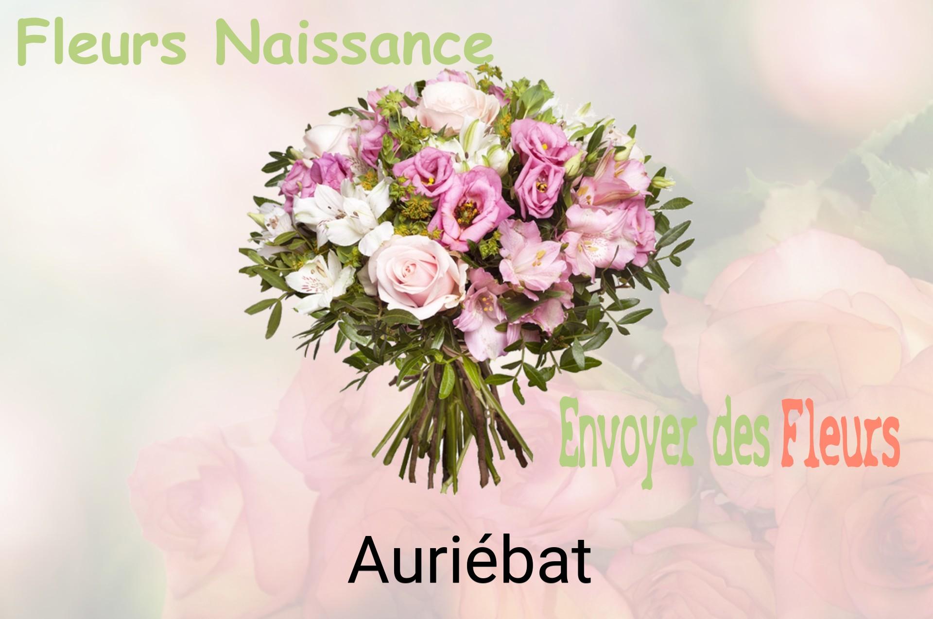 Bouquet de fleurs de naissance livré à Auriébat